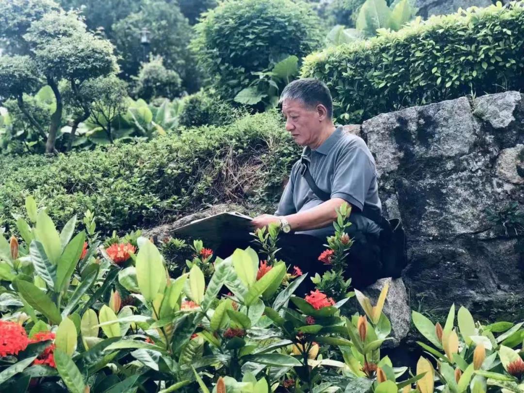 香港美协顾问沈平老师的位置很“独特”，以至于记者无法攀爬上去记录写生点滴……